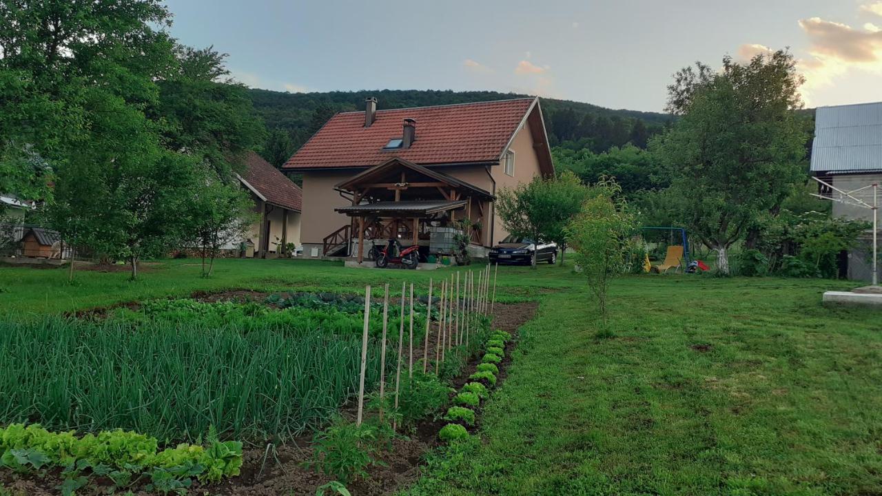 Apartament Izvor Ogulin Zewnętrze zdjęcie